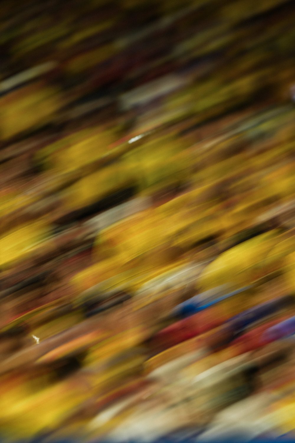 Tifosi della Colombia in mosso, Colombia-Portogallo, Mondiali 2026, Miami, 27 giugno 2026. Foto di Luca Taddeo